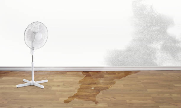 Best 24/7 water damage repair  in Oasis, CA