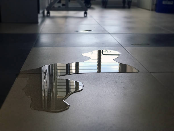 Best 24/7 water damage repair  in Oasis, CA