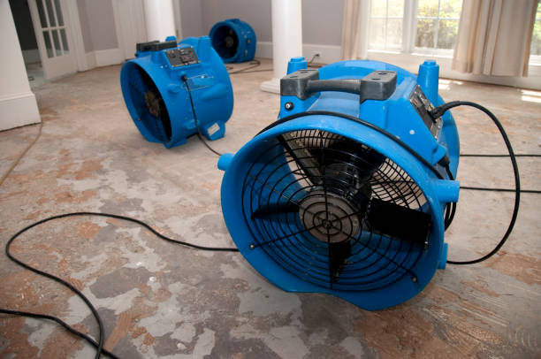 Best Water damage restoration near me  in Oasis, CA