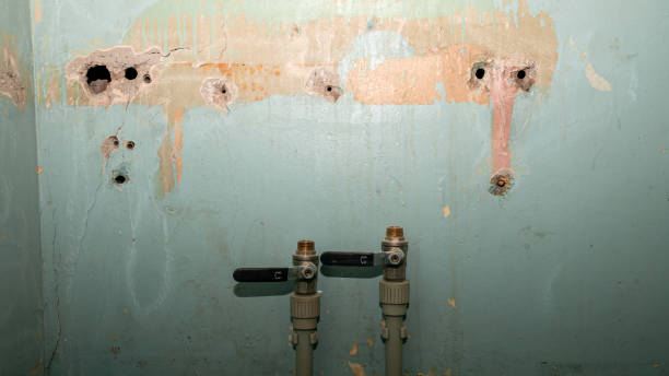 Best Flood damage cleanup  in Oasis, CA